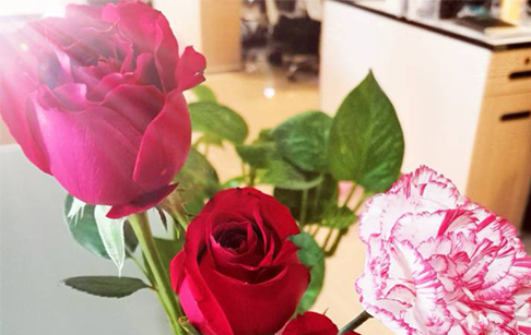 3.8女神节日快乐