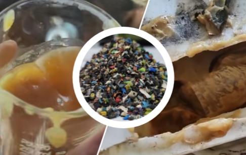 废塑料热解炼油结蜡怎么处理：“防”“治”两手抓