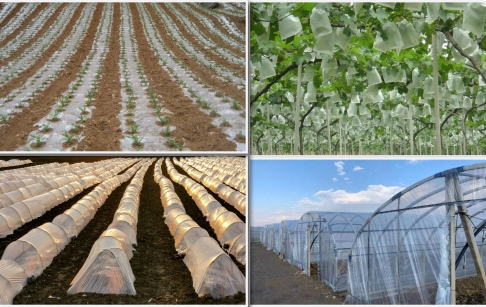 废弃农膜的种类主要有哪些，如何实现资源化处理？