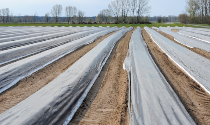 农用地膜