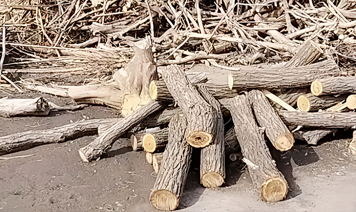 废木材