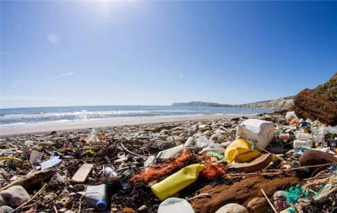 太平洋出现“第八大陆”，面积达140万平方公里